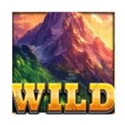 5 Wild Wolves: Wild