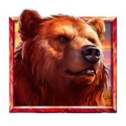 5 Wild Wolves: Медведь