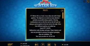 777 Winter Hit: Правила