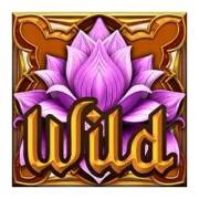 Aura God: Wild