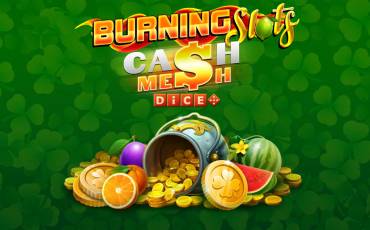 Burning Slots Cash Mesh Dice