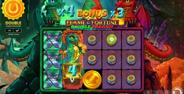 Flame & Fortune Double Dragon: Уникальные функции