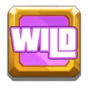 Miami Mayhem: Wild